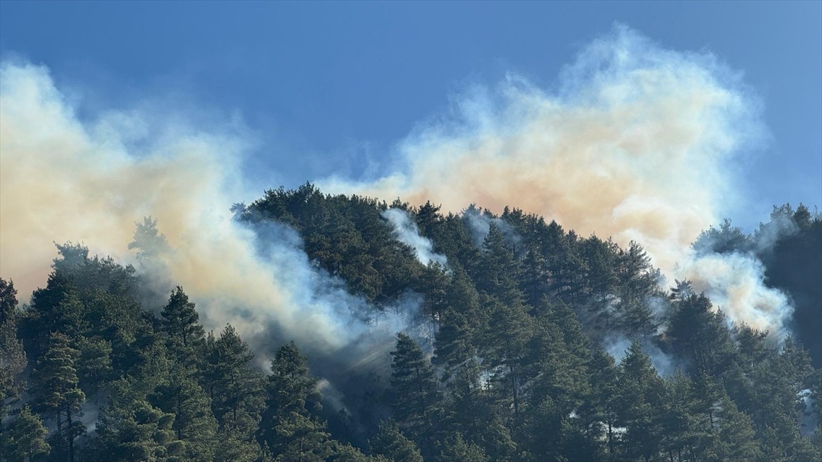 Kahramanmaraş'ın Onikişubat ilçesinde çıkan orman yangınına havadan ve karadan müdahale...