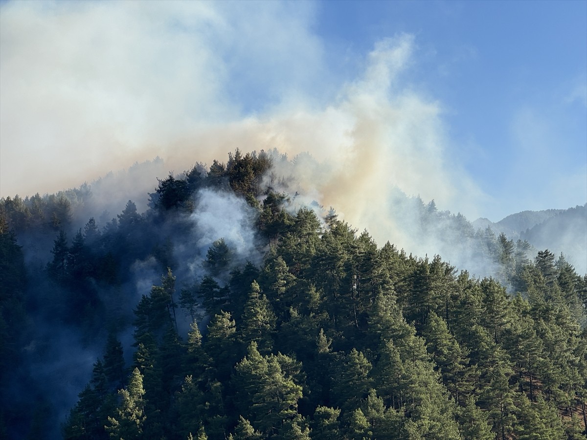 Kahramanmaraş'ın Onikişubat ilçesinde çıkan orman yangınına havadan ve karadan müdahale...