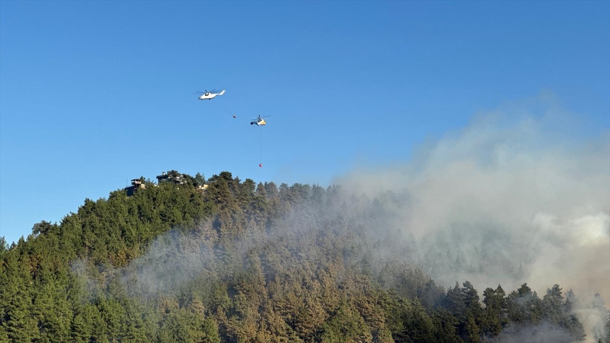 Kahramanmaraş'ın Onikişubat ilçesinde çıkan orman yangınına  Orman Bölge Müdürlüğü ekiplerince...