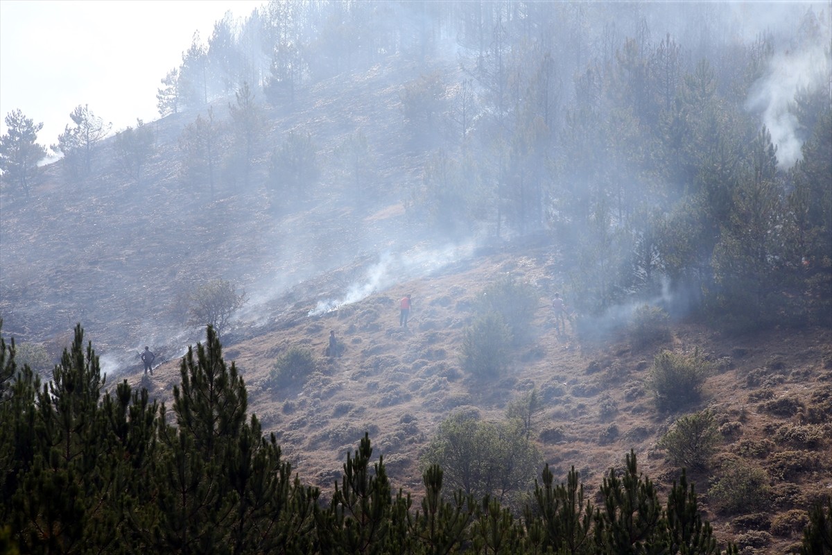 Kastamonu'da ormanlık alanda çıkan yangına ekipler karadan ve havadan müdahale etti. 