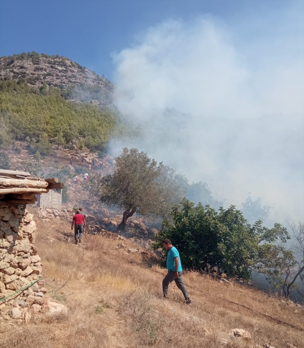 Mersin'in Silifke ilçesinde zirai alanda çıkan yangın, havadan ve karadan müdahaleyle...