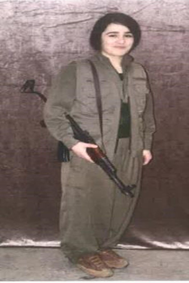 MİT, TSK'nın harekat bölgesine saldırı hazırlığında olduğu belirlenen PKK/KCK'lı teröristler...