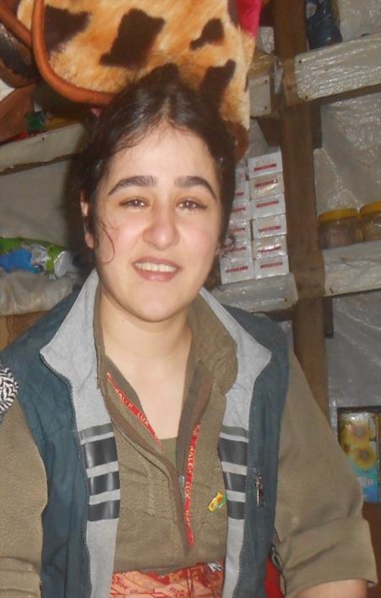 MİT, TSK'nın harekat bölgesine saldırı hazırlığında olduğu belirlenen PKK/KCK'lı teröristler...