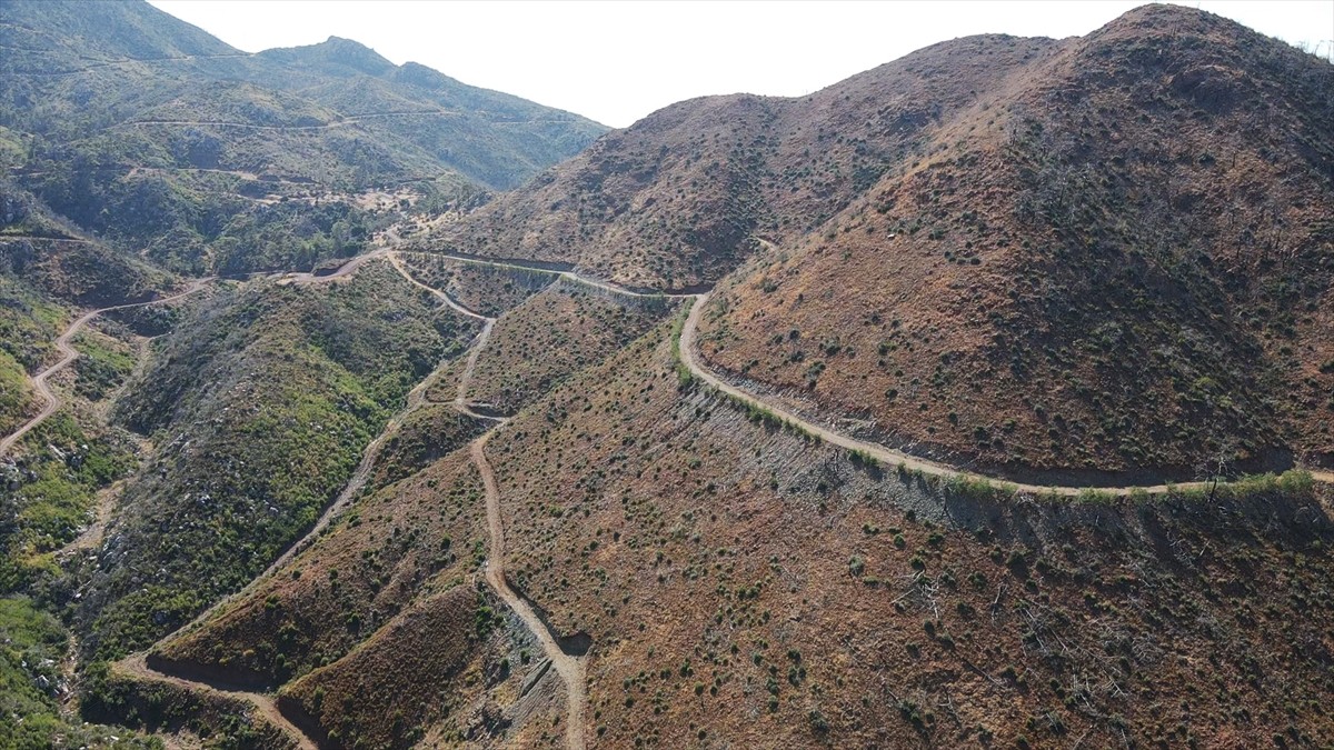 Muğla'da meydana gelen yangınlarda zarar gören ormanlık alanlar, ekiplerin yoğun çalışmasıyla...