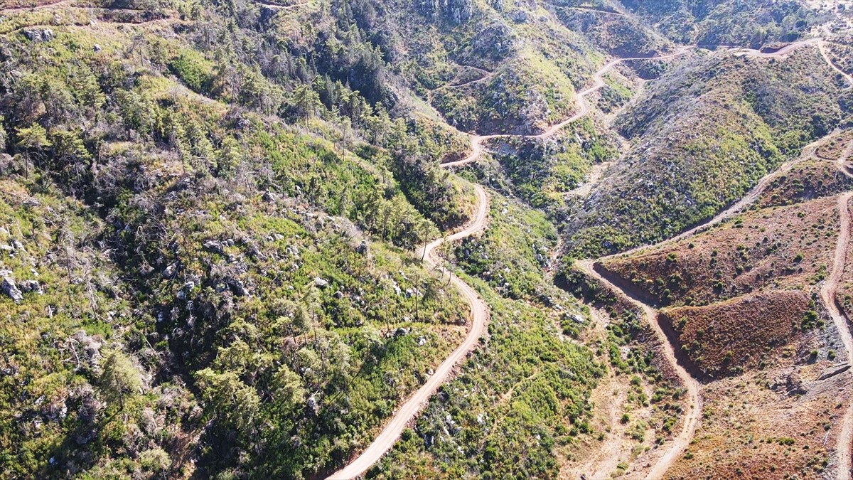 Muğla'da meydana gelen yangınlarda zarar gören ormanlık alanlar, ekiplerin yoğun çalışmasıyla...