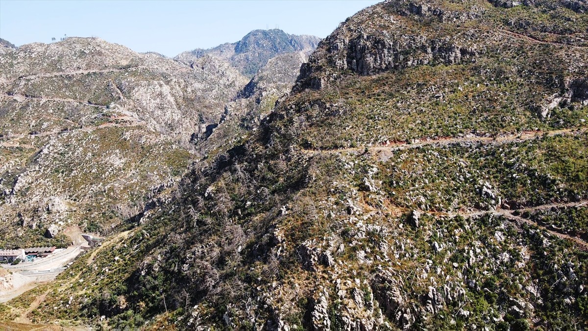 Muğla'da meydana gelen yangınlarda zarar gören ormanlık alanlar, ekiplerin yoğun çalışmasıyla...