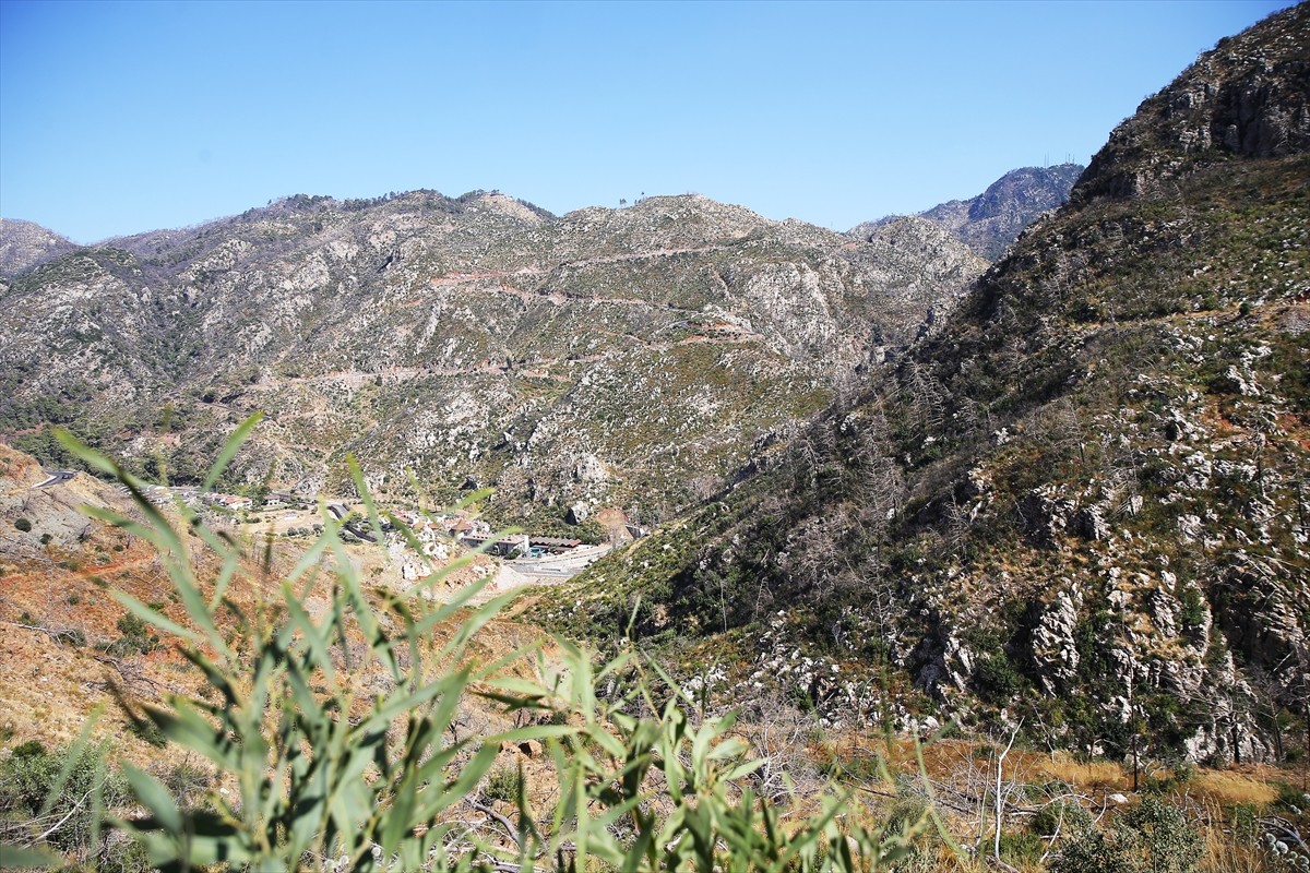Muğla'da meydana gelen yangınlarda zarar gören ormanlık alanlar, ekiplerin yoğun çalışmasıyla...