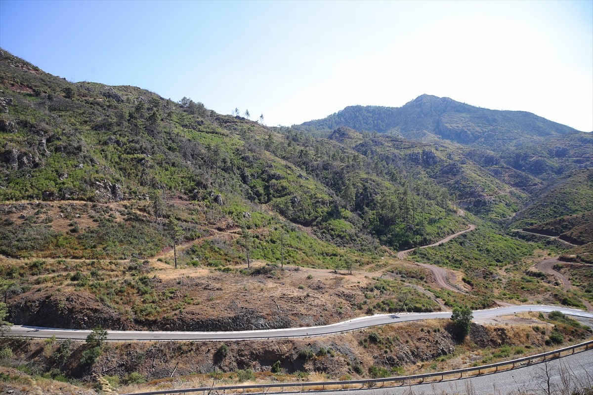 Muğla'da meydana gelen yangınlarda zarar gören ormanlık alanlar, ekiplerin yoğun çalışmasıyla...