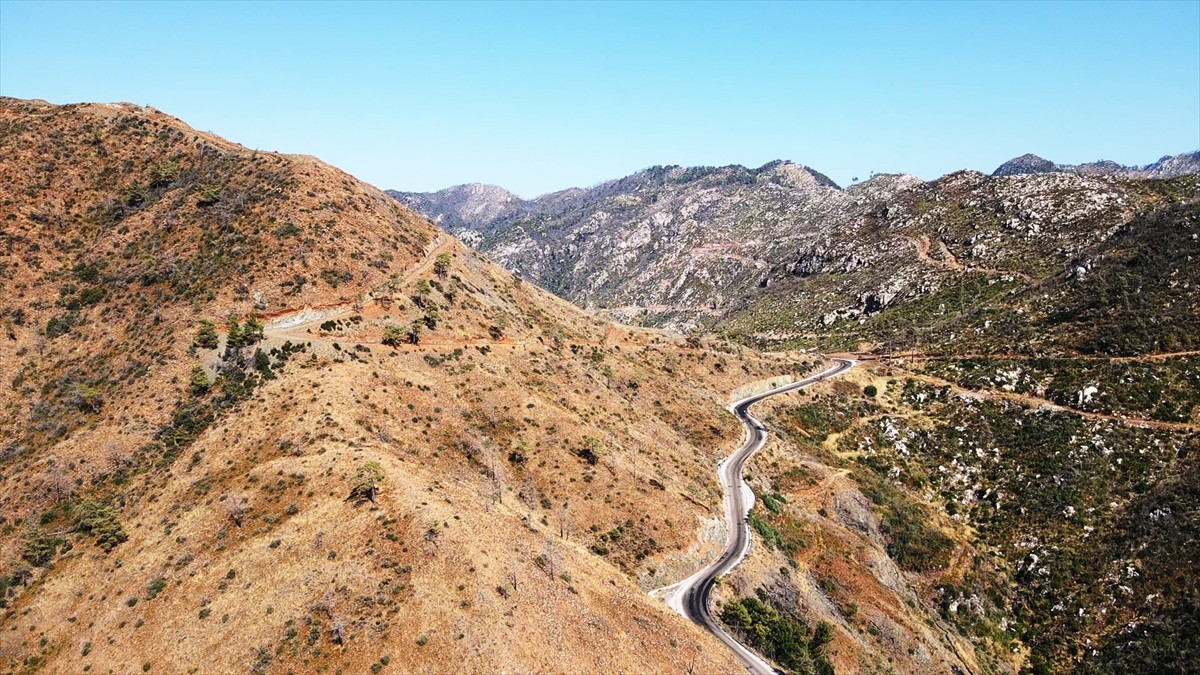 Muğla'da meydana gelen yangınlarda zarar gören ormanlık alanlar, ekiplerin yoğun çalışmasıyla...