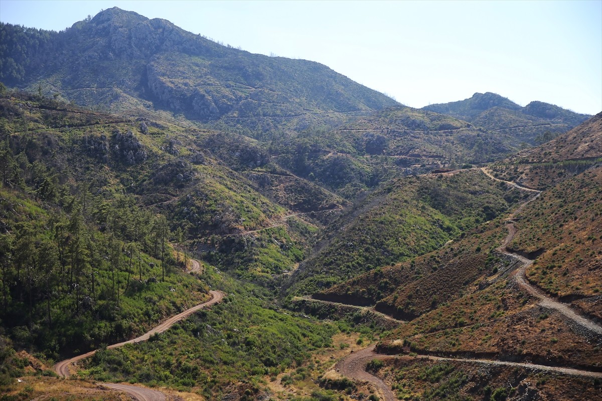 Muğla'da meydana gelen yangınlarda zarar gören ormanlık alanlar, ekiplerin yoğun çalışmasıyla...