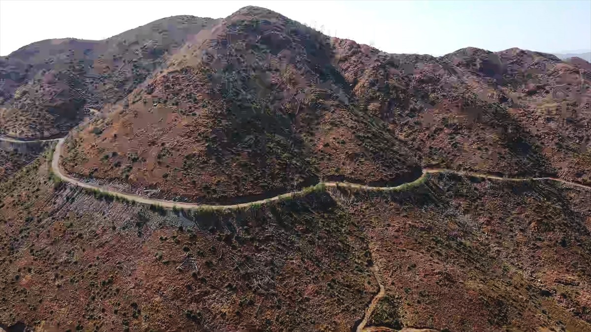Muğla'da meydana gelen yangınlarda zarar gören ormanlık alanlar, ekiplerin yoğun çalışmasıyla...