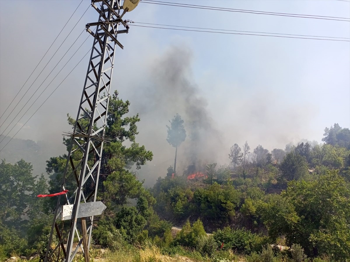 Muğla'nın Köyceğiz ilçesinde evde başlayan ve daha sonra ormanlık alana sıçrayan yangına müdahale...