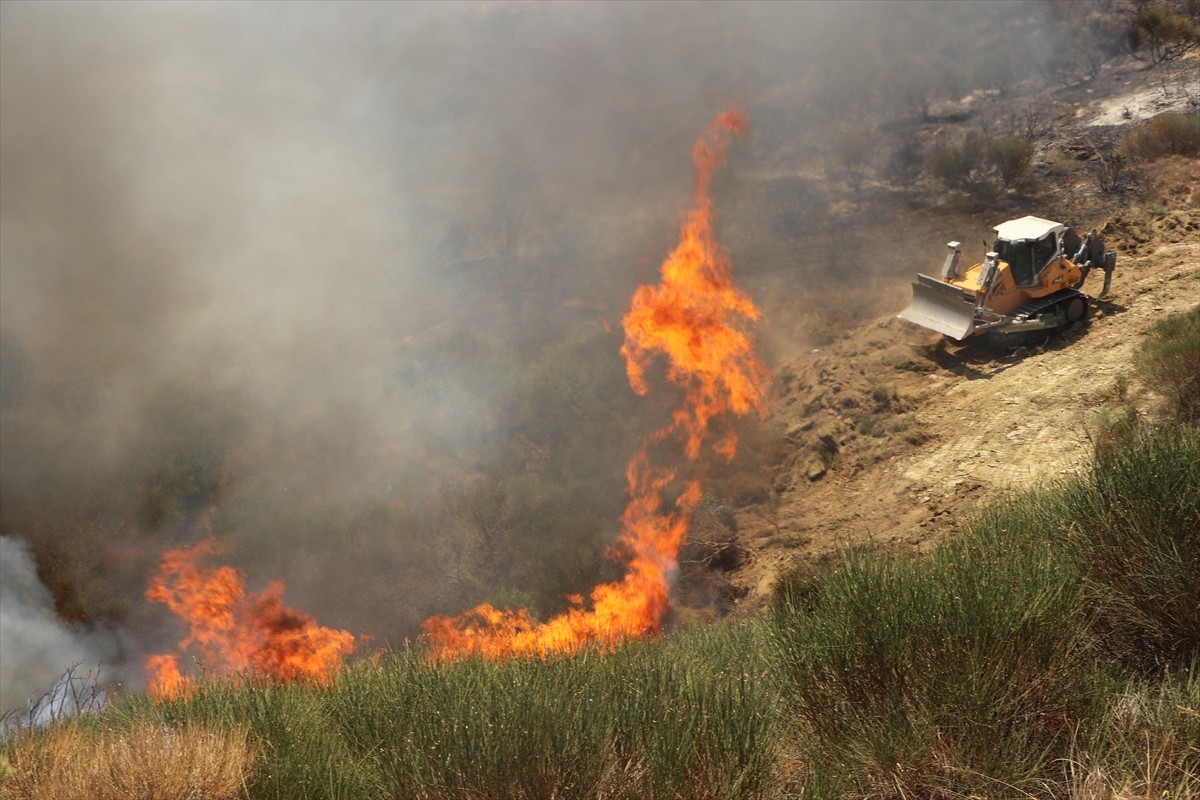Tekirdağ'ın Şarköy ilçesinde makilik alanda çıkan yangına havadan ve karadan müdahale ediliyor....