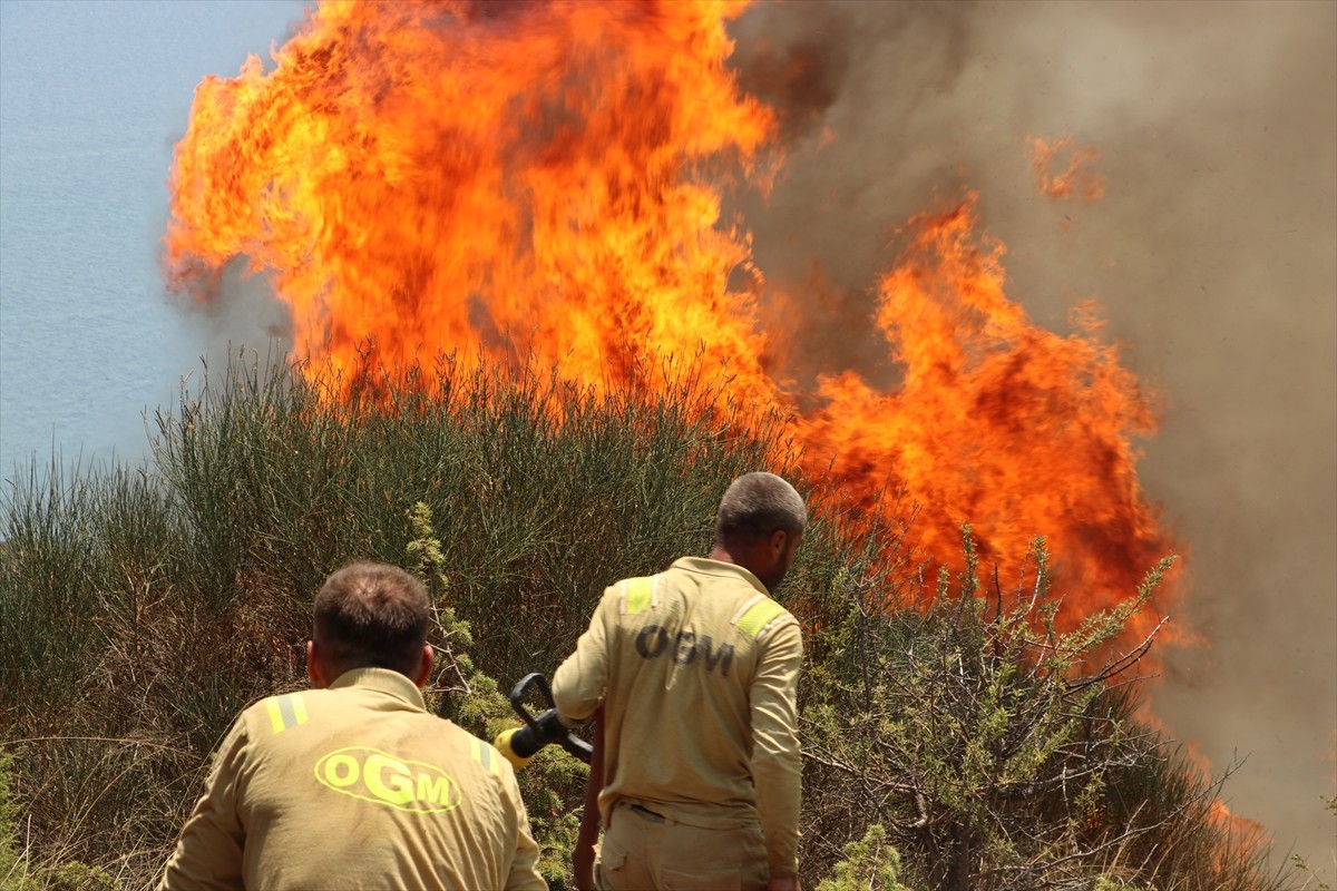 Tekirdağ'ın Şarköy ilçesinde makilik alanda çıkan yangına havadan ve karadan müdahale ediliyor....