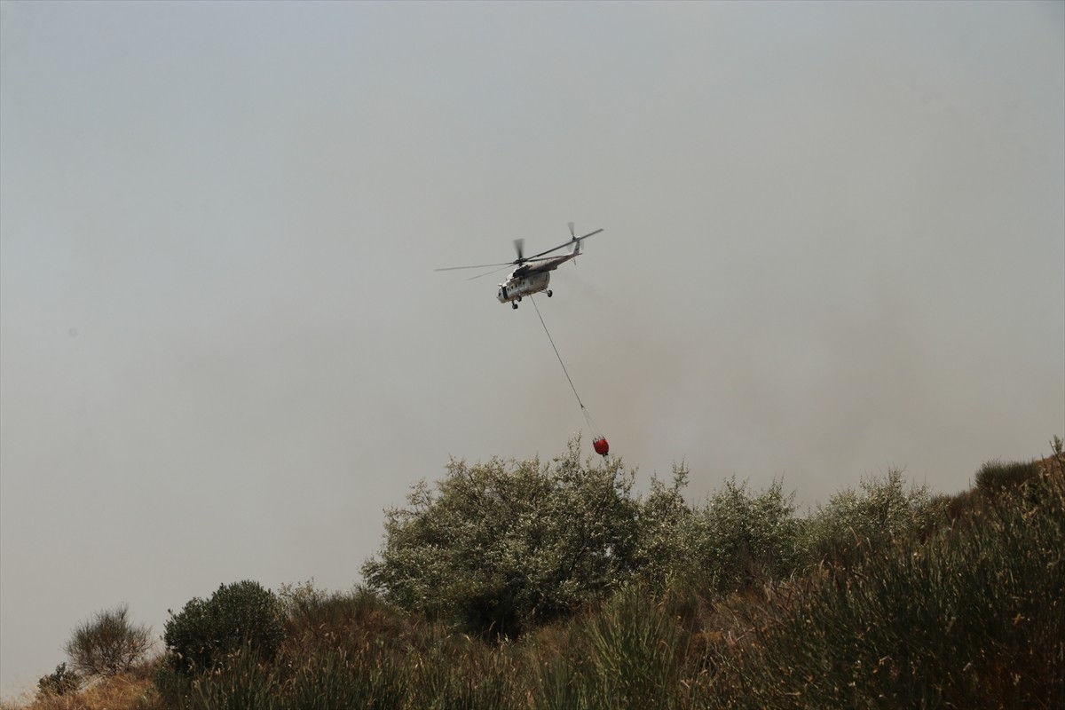 Tekirdağ'ın Şarköy ilçesinde makilik alanda çıkan yangına havadan ve karadan müdahale ediliyor....