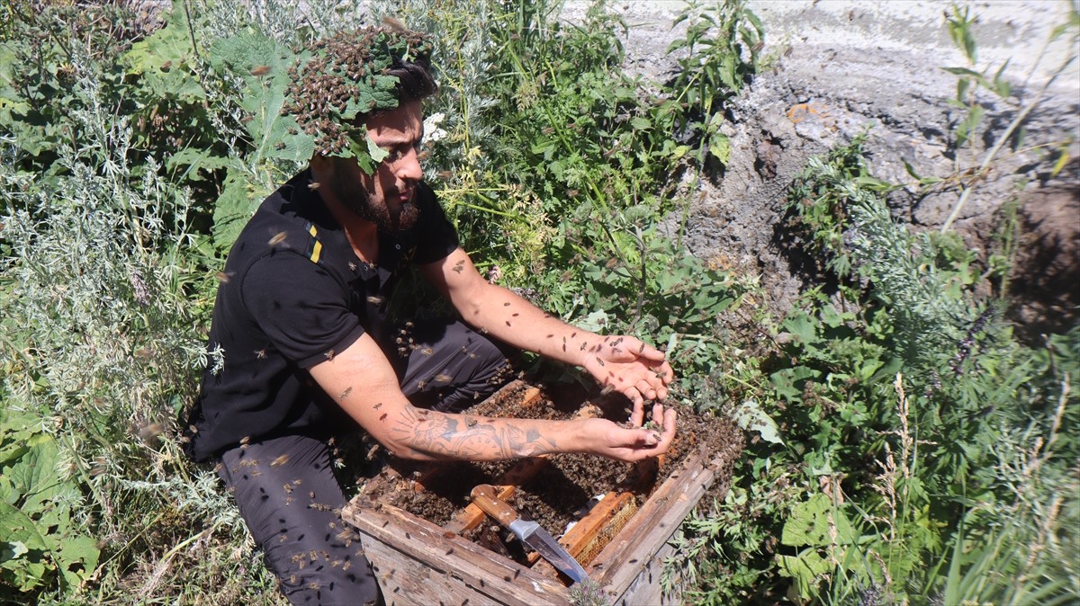 Türkiye'nin önemli bal üretim yerlerinden Kars'ta, bir süredir etkili olan sağanağın ardından...