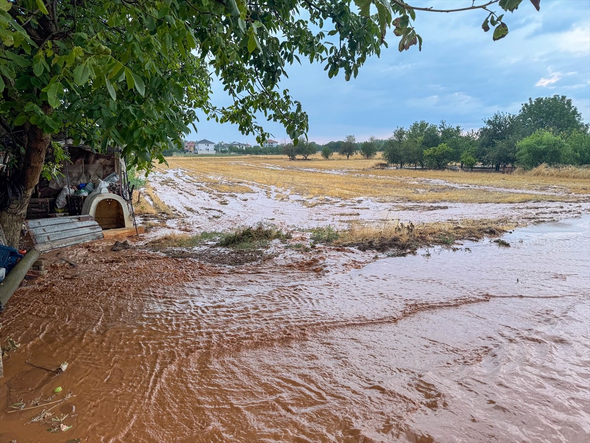 Uşak'ta akşam saatlerinden itibaren etkili olan dolu ve sağanak hayatı olumsuz etkiledi. Sivaslı...