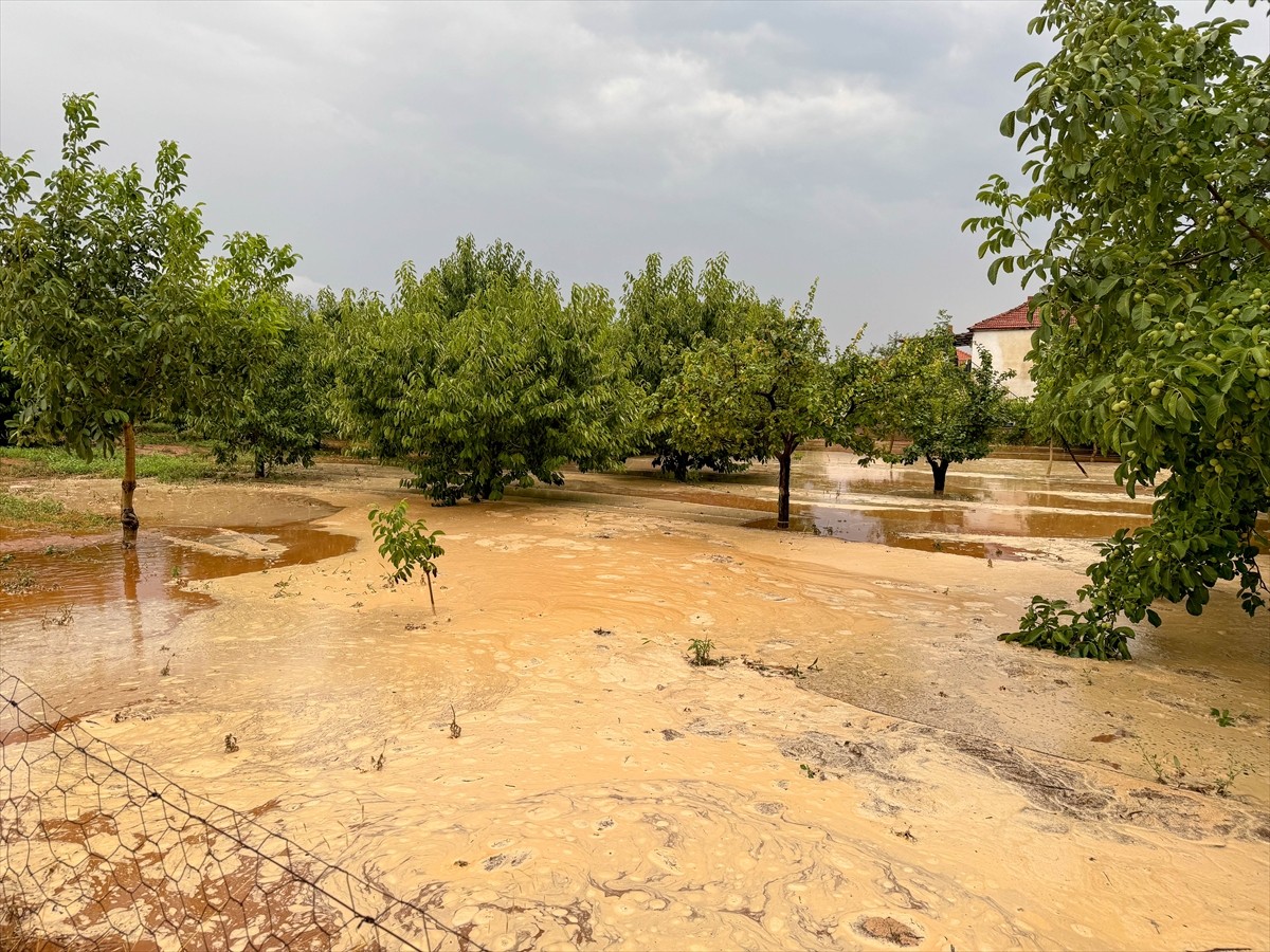 Uşak'ta akşam saatlerinden itibaren etkili olan dolu ve sağanak hayatı olumsuz etkiledi. Sivaslı...