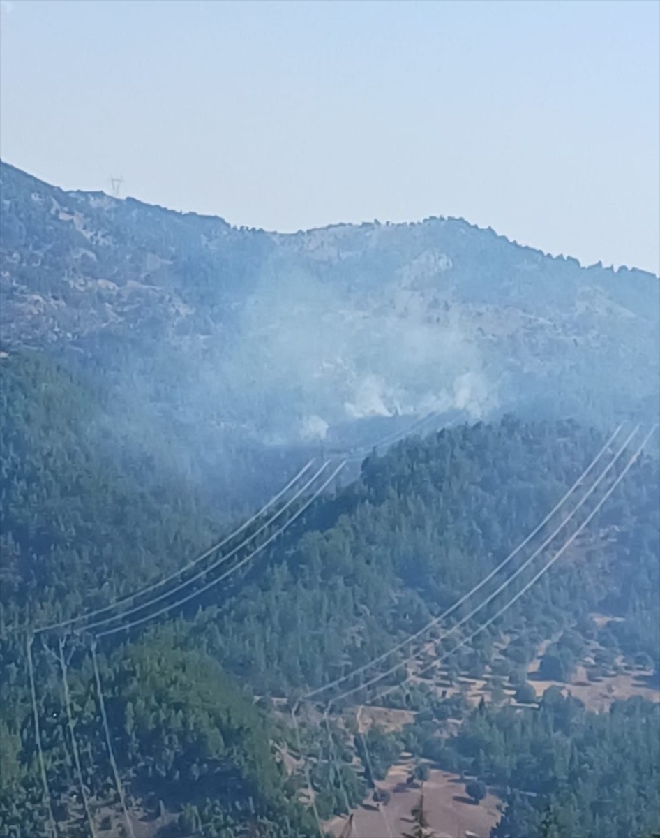 Adana'nın Kozan ilçesi Kızlarsekisi Mahallesi'ndeki ormanlık alanda yangın çıktı. 