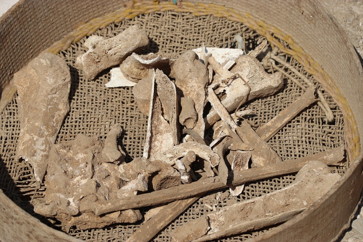 Amasya'da bir inşaatın temel kazısında bulunan Roma dönemine ait 3 mezarda insan kemikleri...