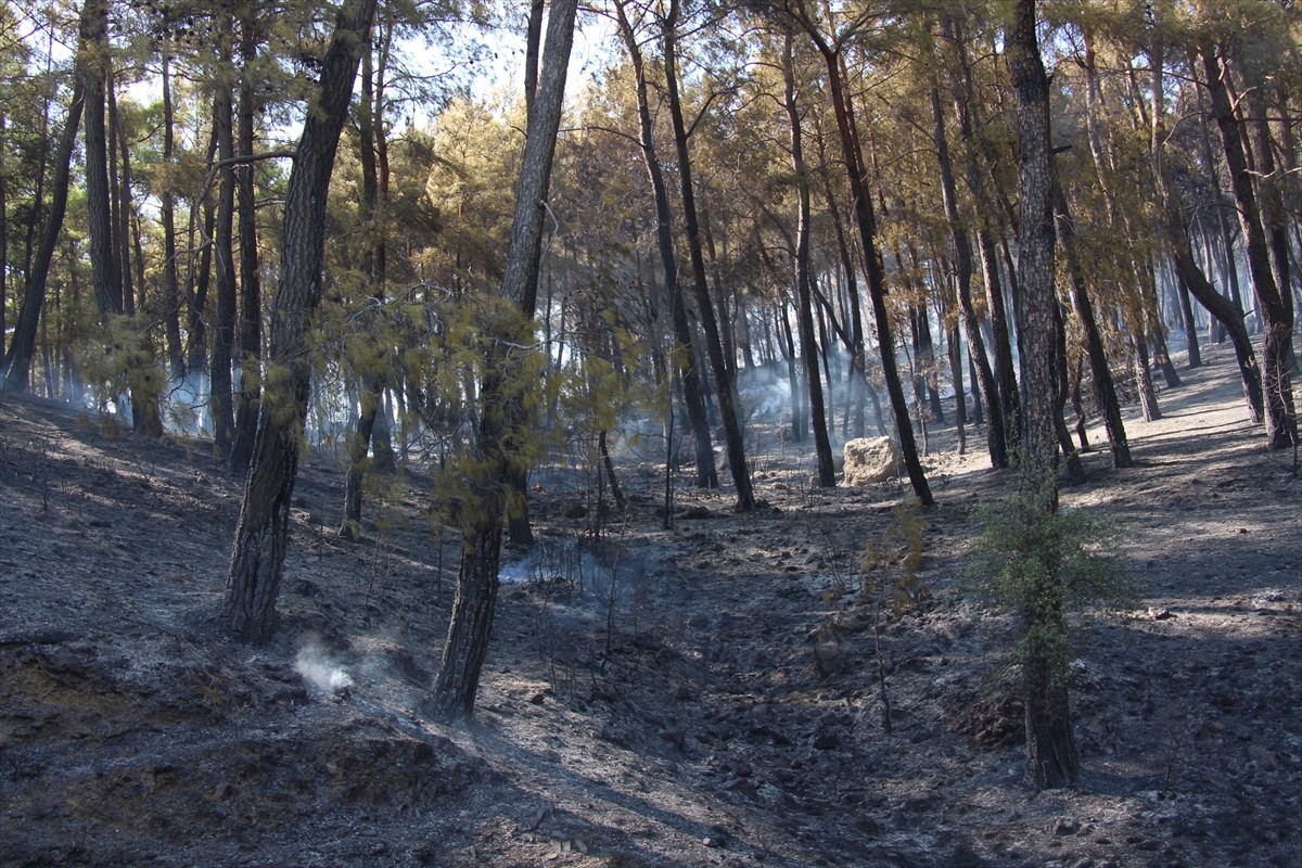 Antalya'nın Serik ilçesinde, ormanlık alanda çıkan yangın havadan ve karadan müdahaleyle kontrol...