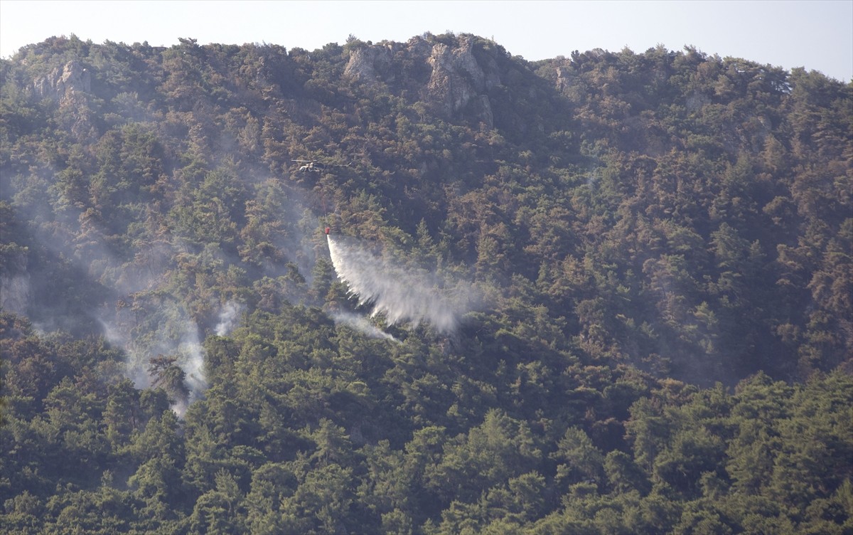 Aydın'da zeytinlik ve ormanlık alanda çıkan yangını söndürme çalışmaları devam etti. 