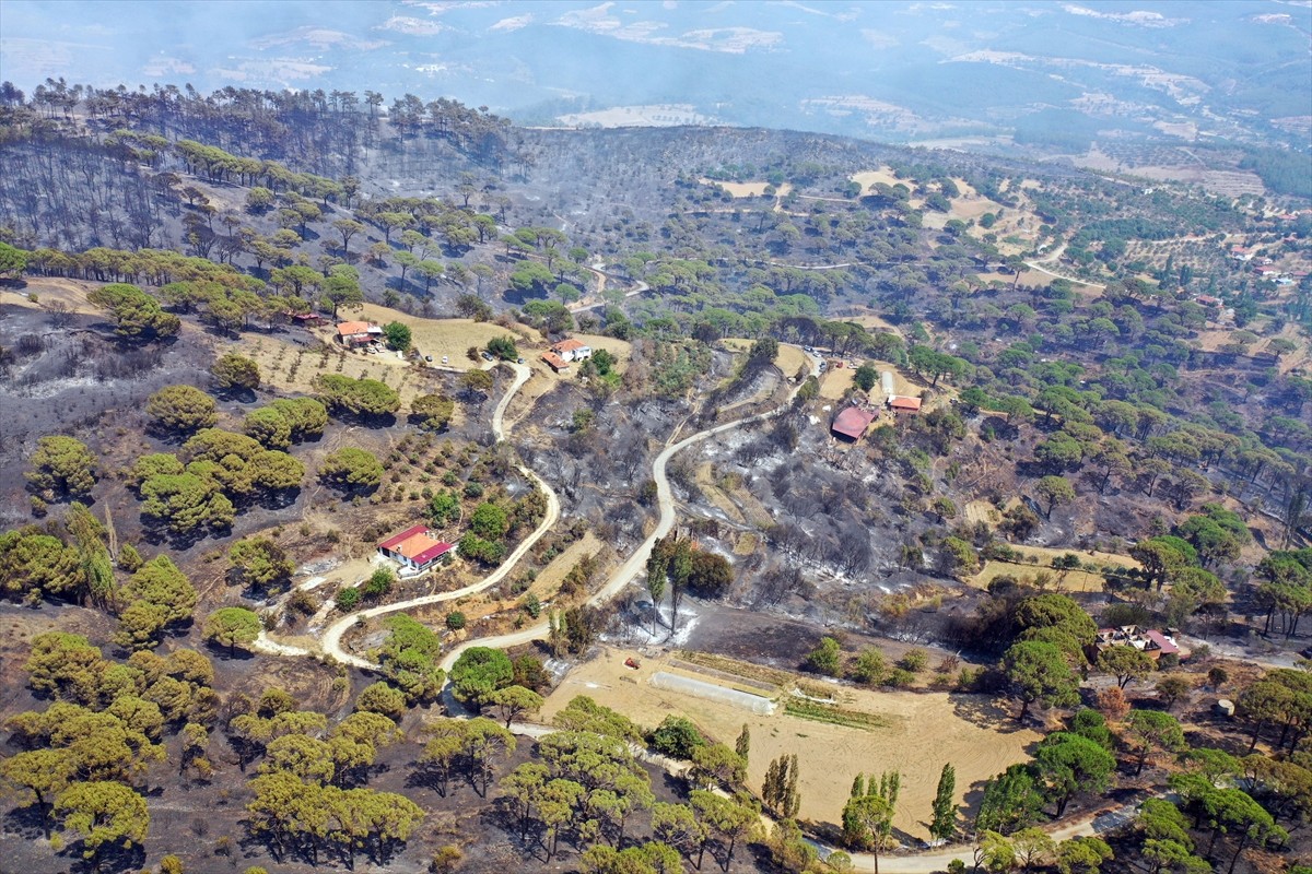  Aydın'ın Bozdoğan ilçesinde devam eden orman yangınında zarar gören yerler havadan...