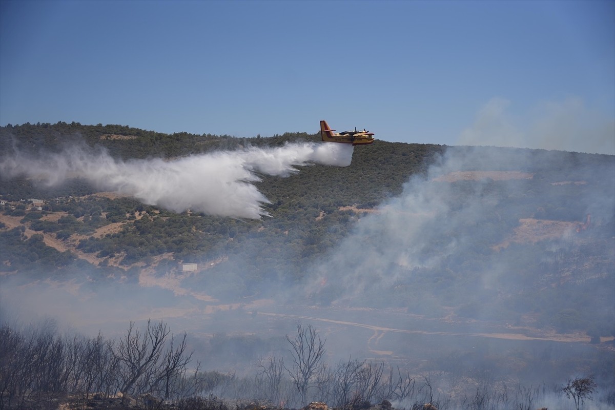 Aydın'ın Didim ilçesinde makilik alanda çıkan yangına havadan ve karadan müdahale ediliyor.