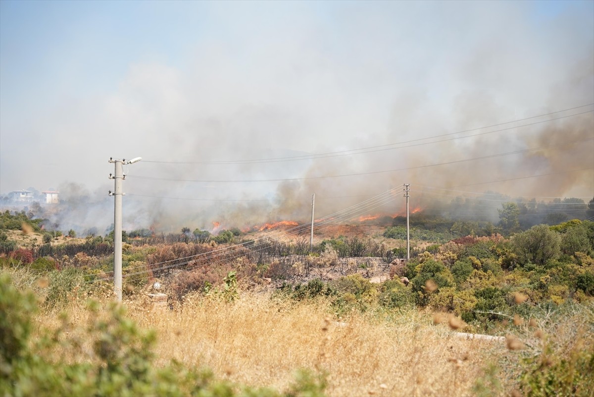 Aydın'ın Didim ilçesinde makilik alanda çıkan yangına havadan ve karadan müdahale ediliyor.