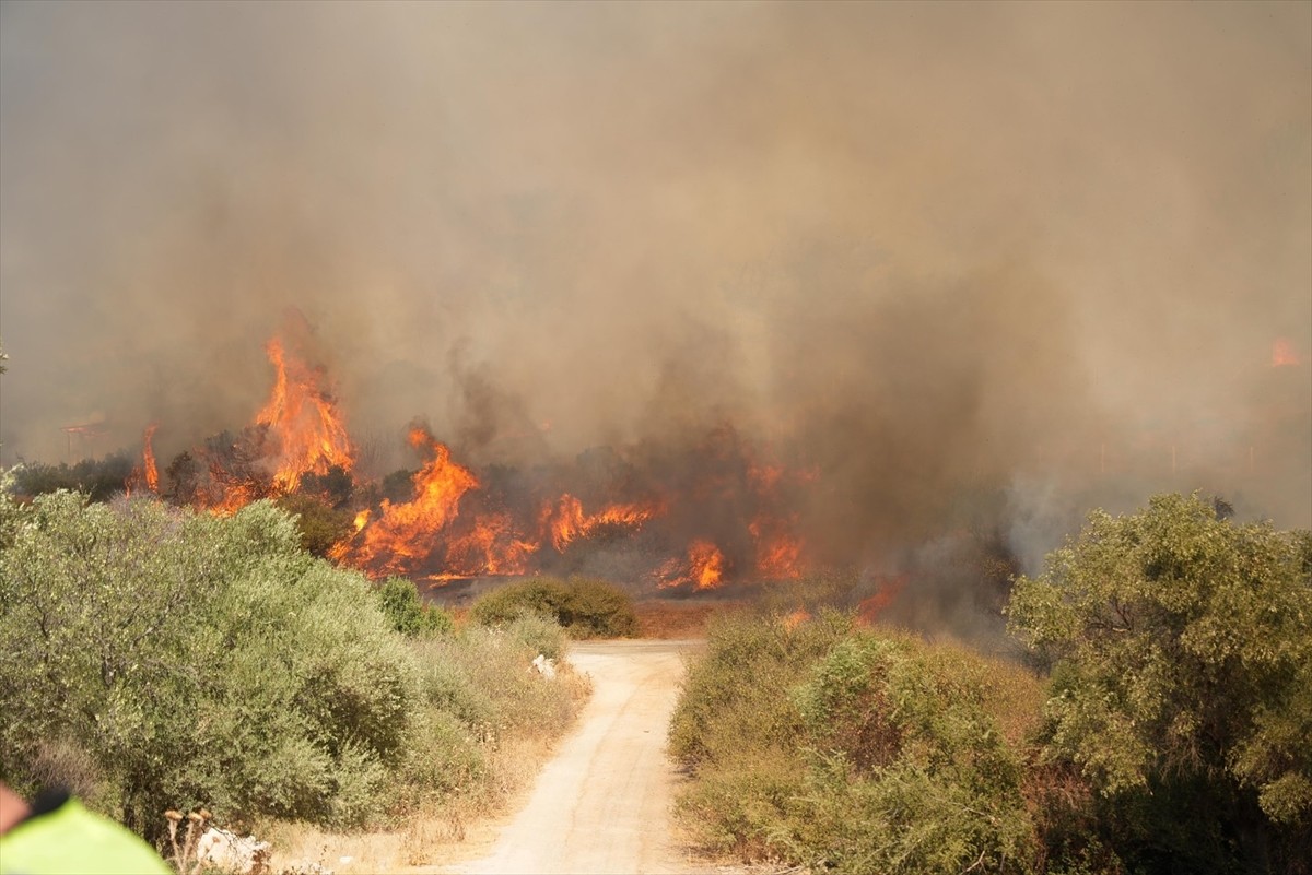 Aydın'ın Didim ilçesinde makilik alanda çıkan yangına havadan ve karadan müdahale ediliyor.