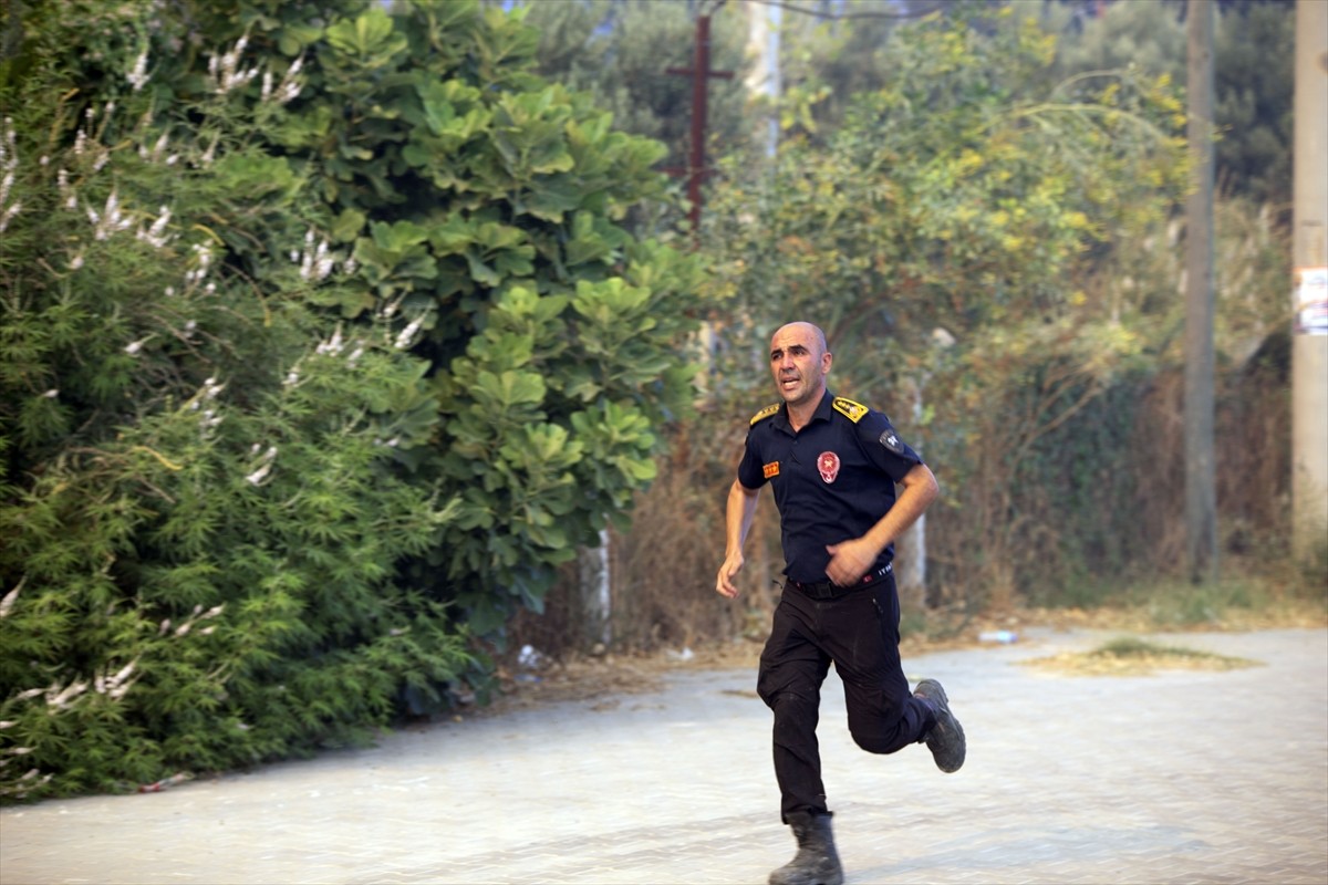 Aydın'ın Germencik ilçesinde, zeytinlik ve ormanlık alanda çıkan yangına havadan ve karadan...
