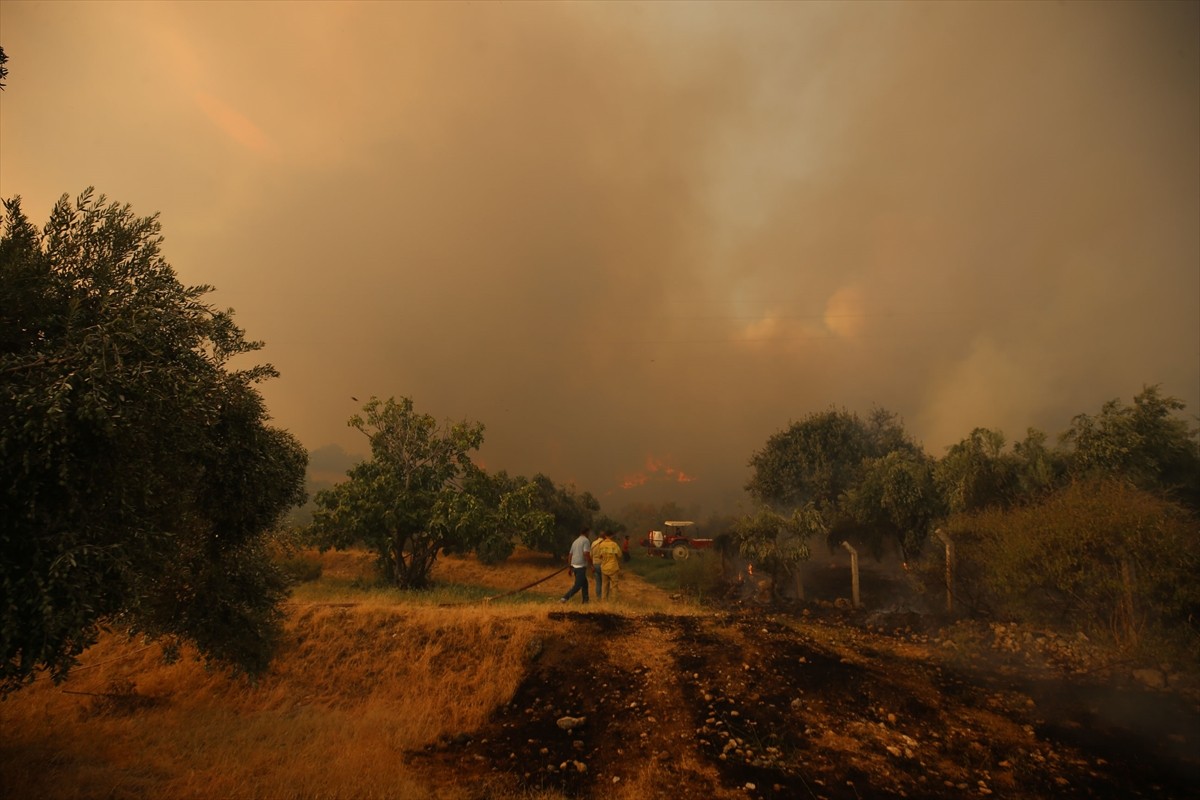 Aydın'ın Germencik ilçesinde, zeytinlik ve ormanlık alanda çıkan yangına havadan ve karadan...