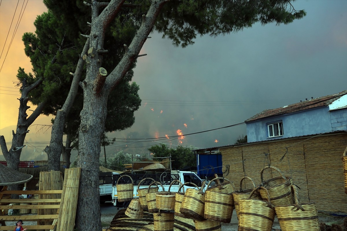 Aydın'ın Germencik ilçesinde, zeytinlik ve ormanlık alanda çıkan yangına havadan ve karadan...