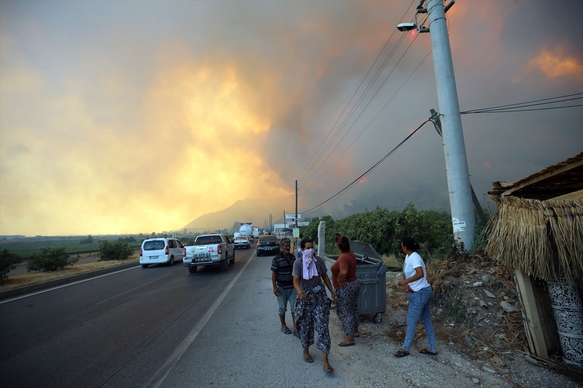 Aydın'ın Germencik ilçesinde, zeytinlik ve ormanlık alanda çıkan yangına havadan ve karadan...