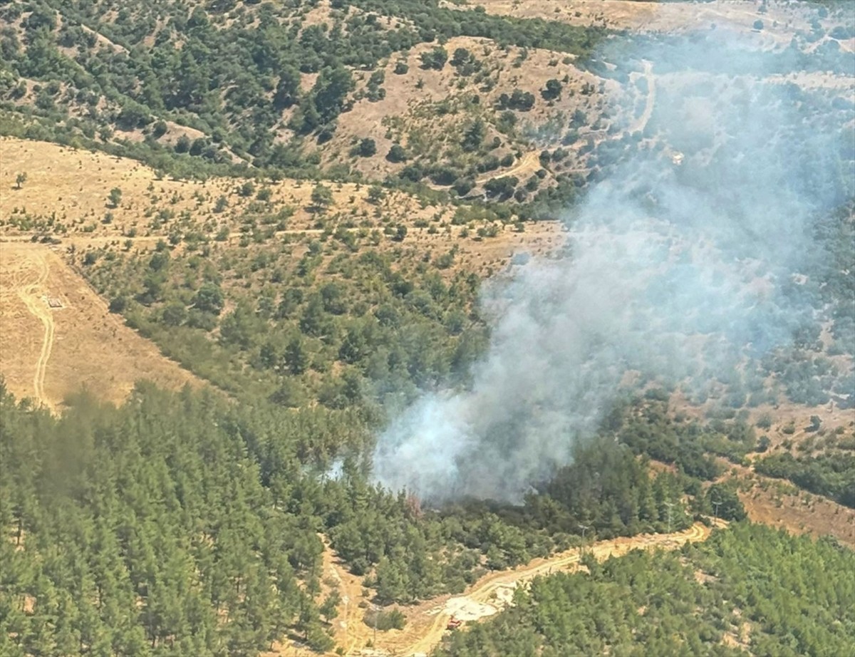 Balıkesir'in Dursunbey ilçesinde, henüz belirlenemeyen nedenle çıkan orman yangını, Orman Bölge...