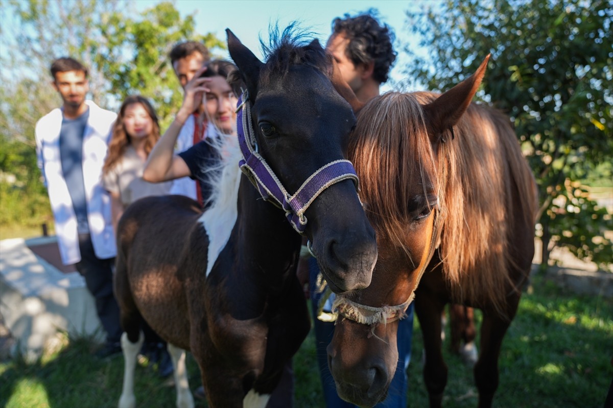 Balıkesir Üniversitesi Öğretim Üyesi Prof. Dr. Mehmet Can Gündüz başkanlığındaki bir ekibin...