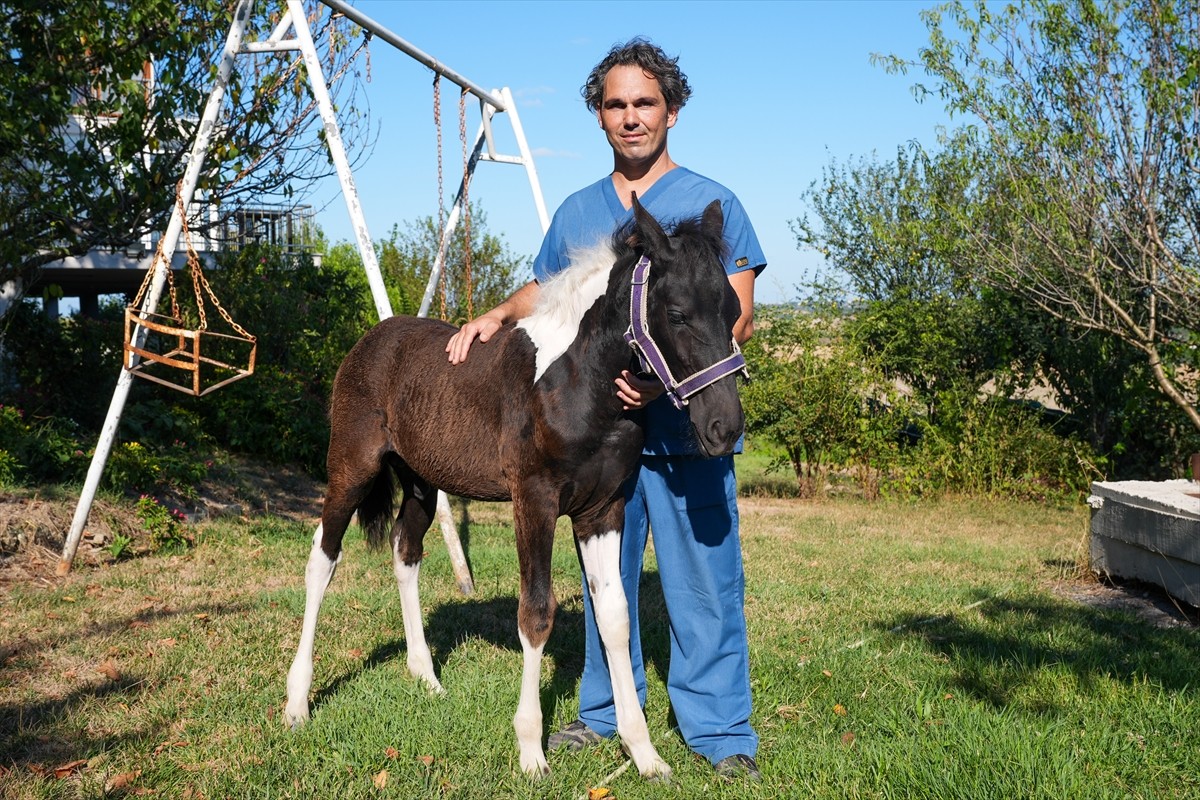Balıkesir Üniversitesi Öğretim Üyesi Prof. Dr. Mehmet Can Gündüz başkanlığındaki bir ekibin...