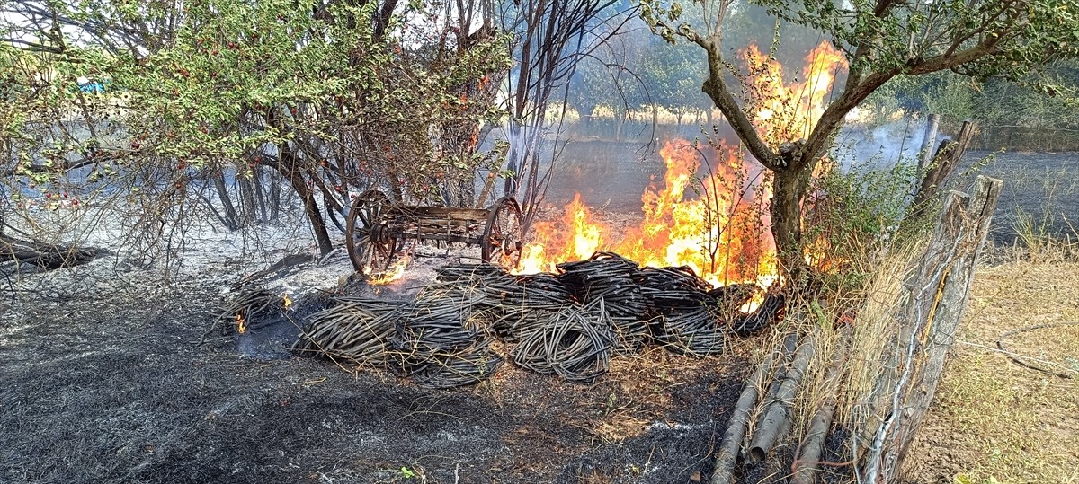 Bilecik'in Pazaryeri ilçesinde otluk alanda çıkan yangın söndürüldü.
