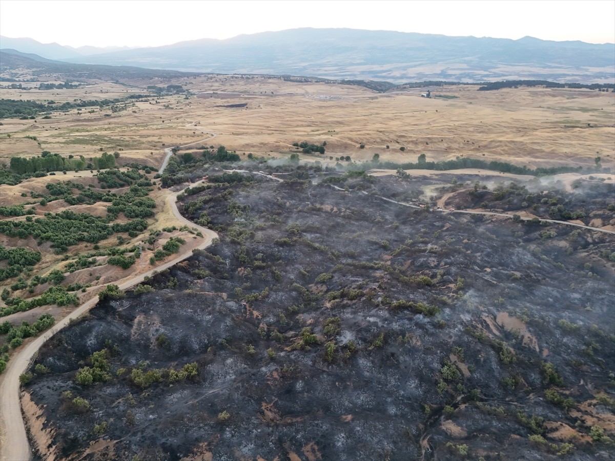 Bingöl'ün Genç ilçesinde çıkan orman yangını ekiplerin müdahalesiyle kontrol altına alındı....