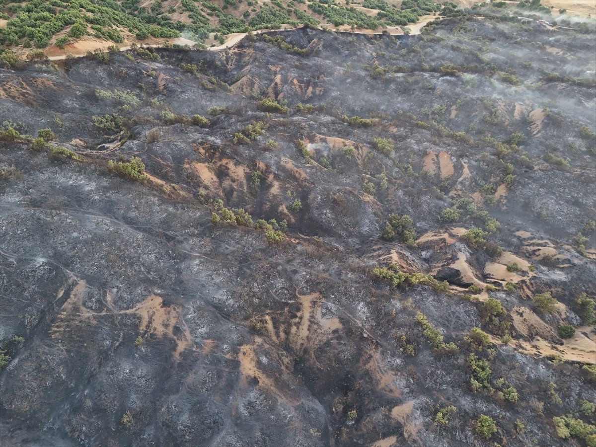 Bingöl'ün Genç ilçesinde çıkan orman yangını ekiplerin müdahalesiyle kontrol altına alındı....