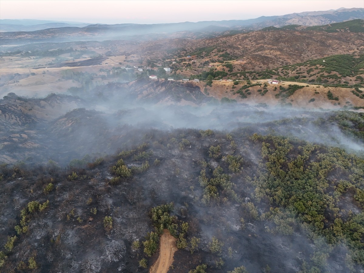 Bingöl'ün Genç ilçesinde çıkan orman yangını ekiplerin müdahalesiyle kontrol altına alındı....
