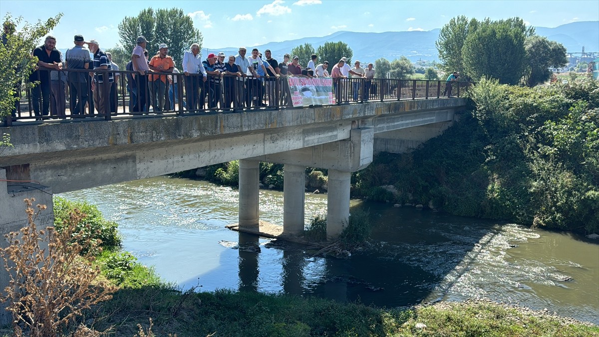  Bolu'da Yeniakçakavak köyü sakinleri, fabrikaların atık bırakması ve belediyenin arıtma tesisinin...