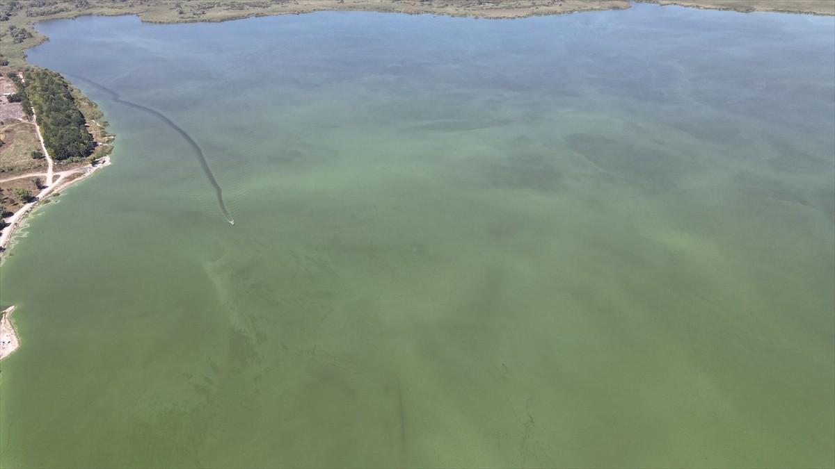 Bolu'nun önemli sulak alanlarından biri olan Yeniçağa Gölü'nün büyük kısmı, alg patlaması...