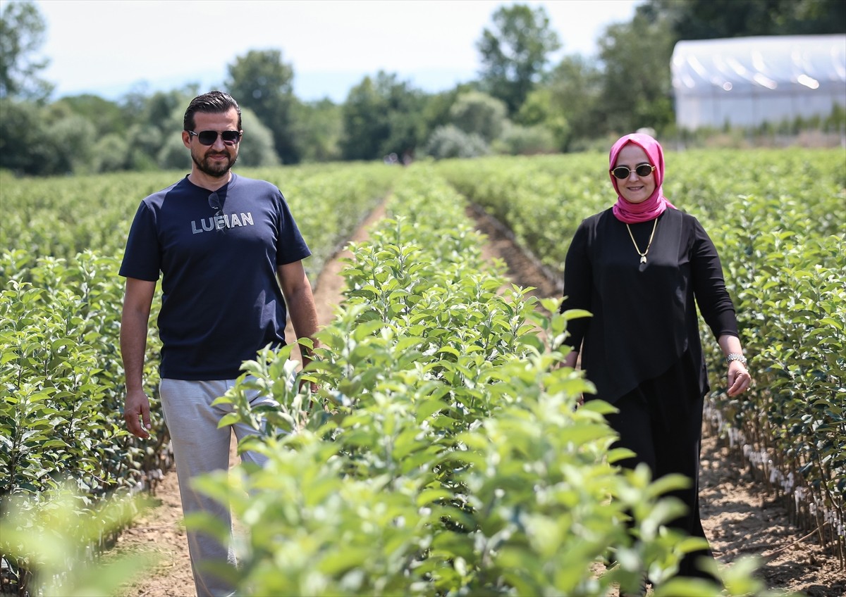 Bursa'nın İnegöl ilçesinde yılda 1 milyon meyve fidanı yetiştiren Ayşe ve Mehmet Ergene çifti...