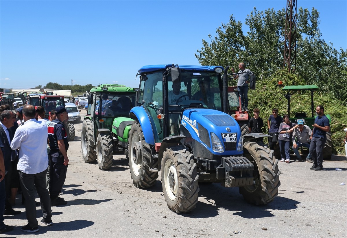 Bursa'nın Karacabey ve Mustafakemalpaşa ilçelerindeki domates üreticileri, "salça fabrikalarının...