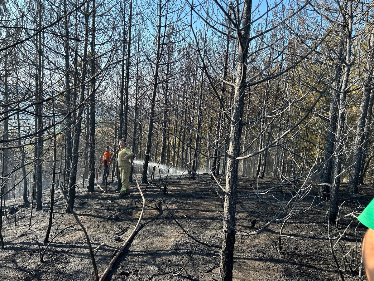 Bursa'nın Orhaneli ilçesinde arazide başlayıp ormanlık alana sıçrayan yangın ekiplerin kısa...