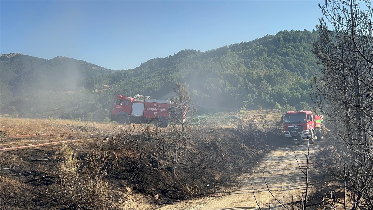 Bursa'nın Orhaneli ilçesinde arazide başlayıp ormanlık alana sıçrayan yangın ekiplerin kısa...