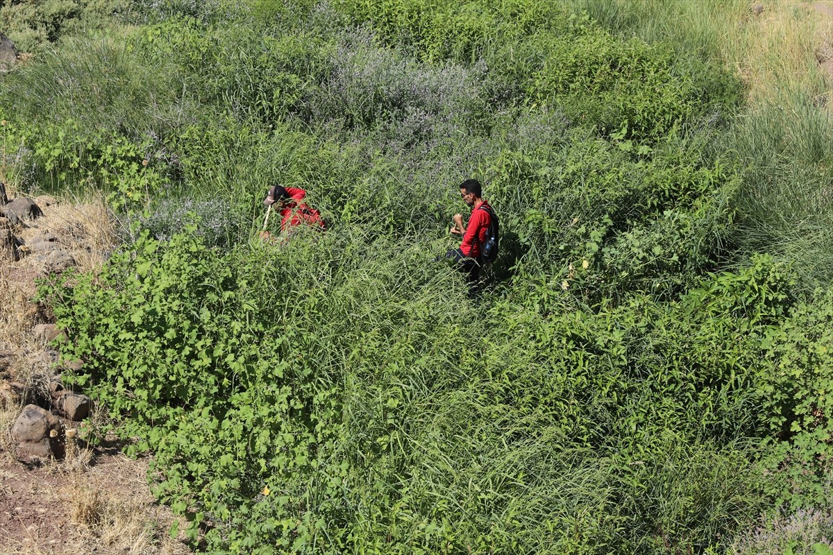 Diyarbakır'ın merkez Bağlar ilçesinde kaybolan 8 yaşındaki Narin Güran'ı arama çalışmaları havadan...
