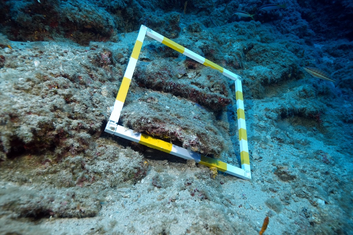  Dünyanın bilinen en eski batığı olarak nitelenen Kumluca Orta Tunç Çağı Batığı'nda arkeologların...