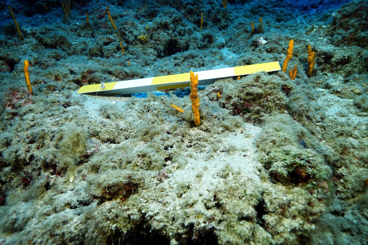  Dünyanın bilinen en eski batığı olarak nitelenen Kumluca Orta Tunç Çağı Batığı'nda arkeologların...